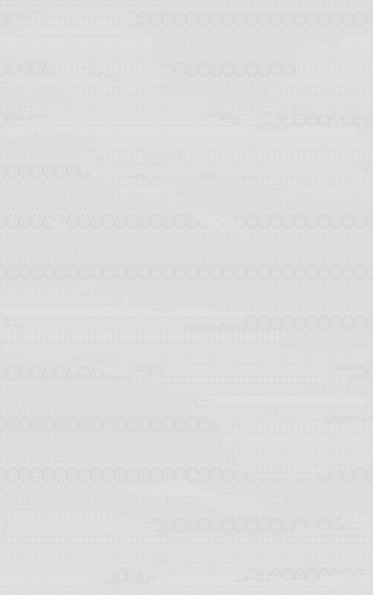 6667-A MİA Halı Modeli